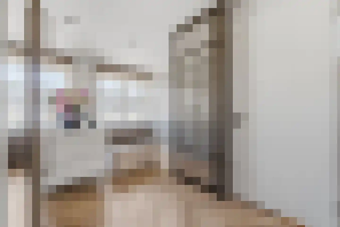 Elisabeth van Matenessedreef 20 Monster thumbnail 40