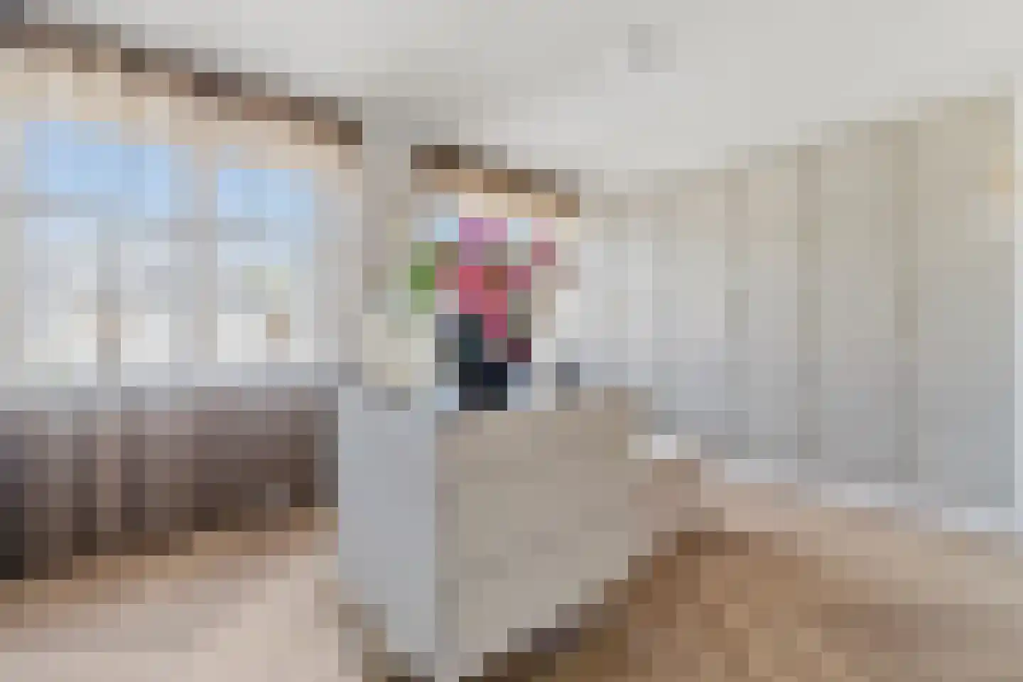 Elisabeth van Matenessedreef 20 Monster thumbnail 41