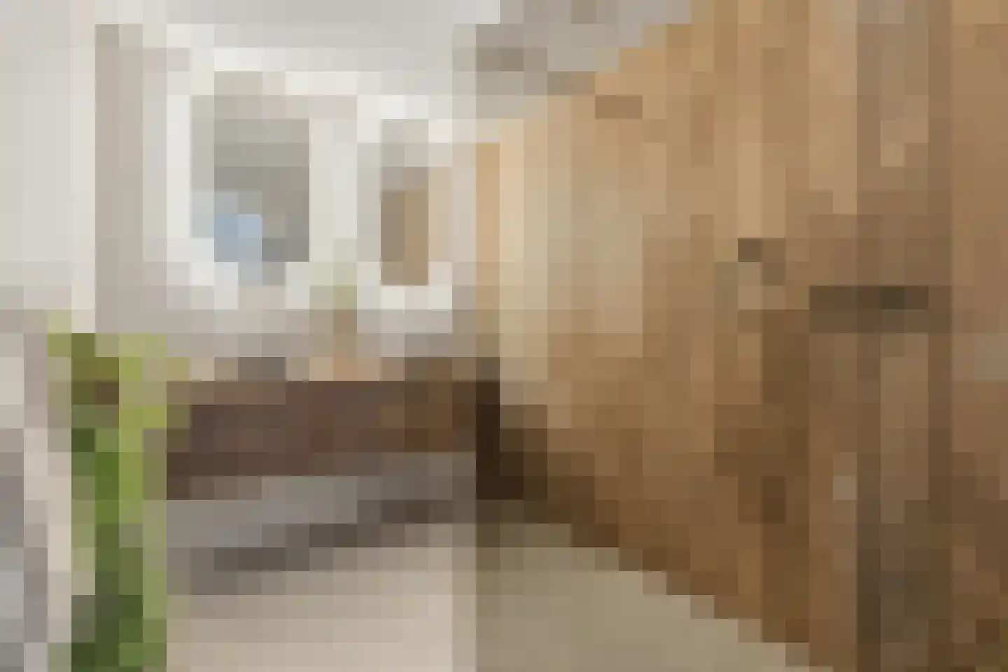 Elisabeth van Matenessedreef 20 Monster thumbnail 44