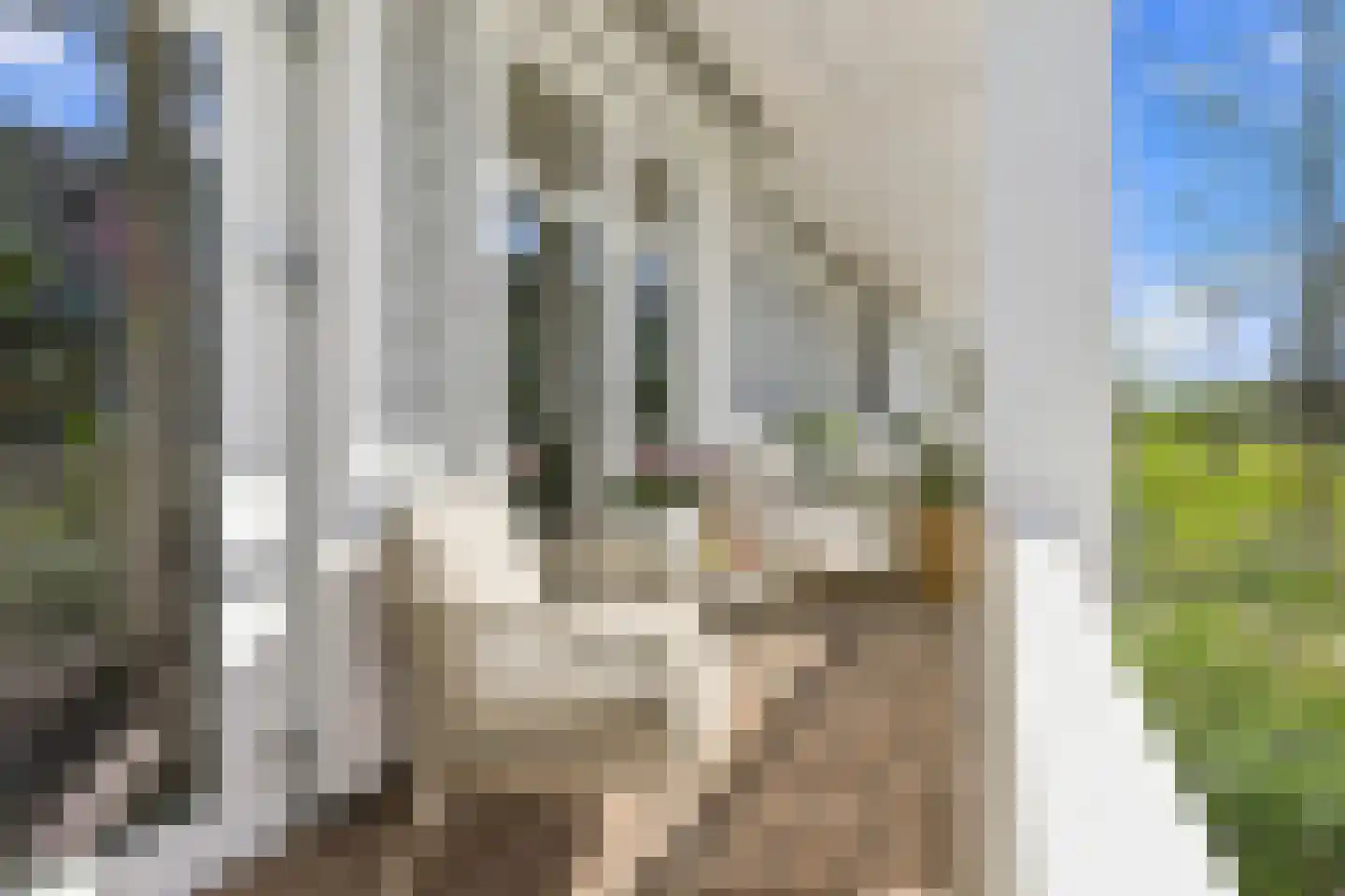 Elisabeth van Matenessedreef 20 Monster thumbnail 6
