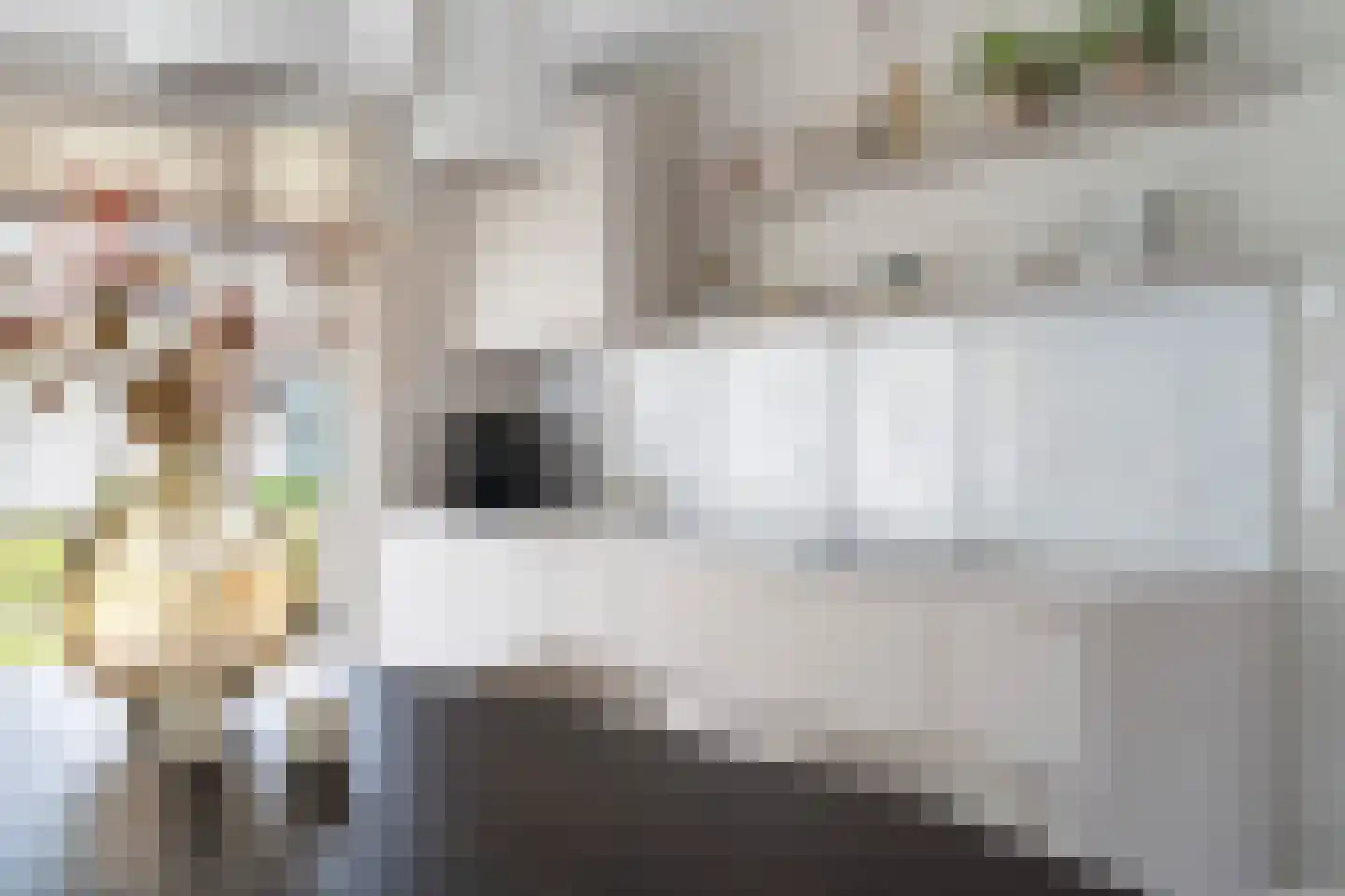 Elisabeth van Matenessedreef 29 Monster thumbnail 21