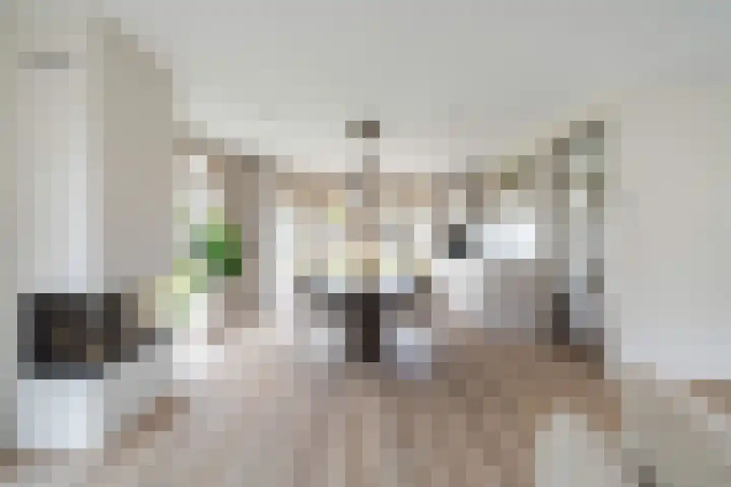 Elisabeth van Matenessedreef 29 Monster thumbnail 22