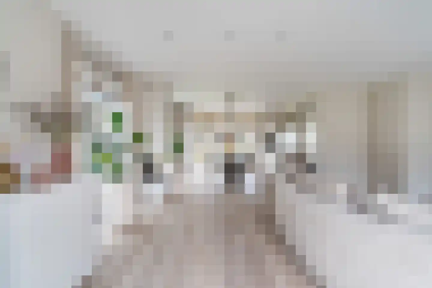 Elisabeth van Matenessedreef 29 Monster thumbnail 29