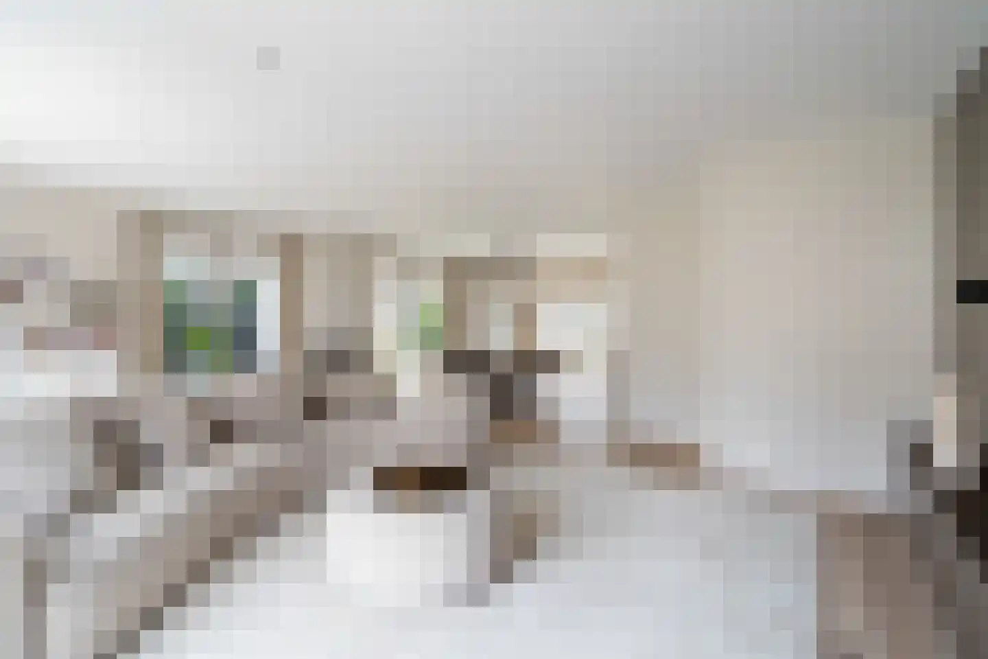 Elisabeth van Matenessedreef 29 Monster thumbnail 31