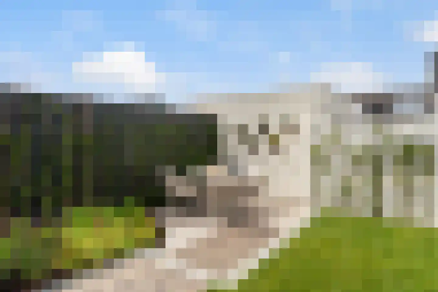 Elisabeth van Matenessedreef 29 Monster thumbnail 41