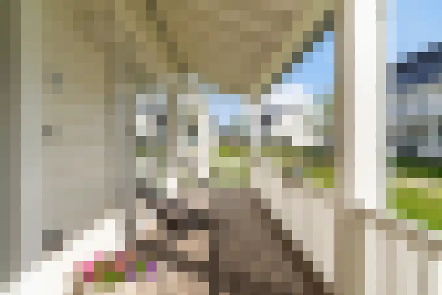 Elisabeth van Matenessedreef 29 Monster thumbnail 8