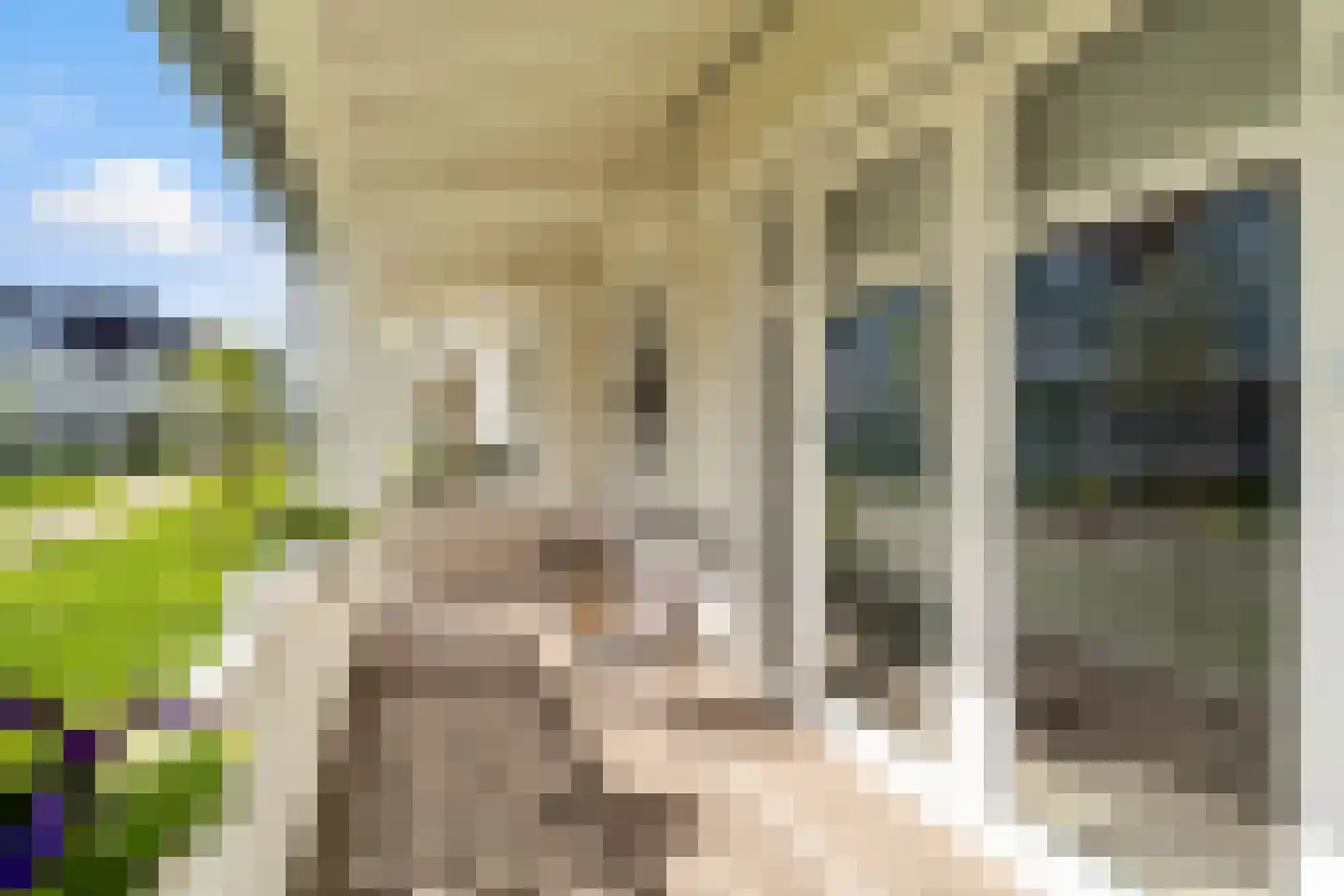 Elisabeth van Matenessedreef 29 Monster thumbnail 9