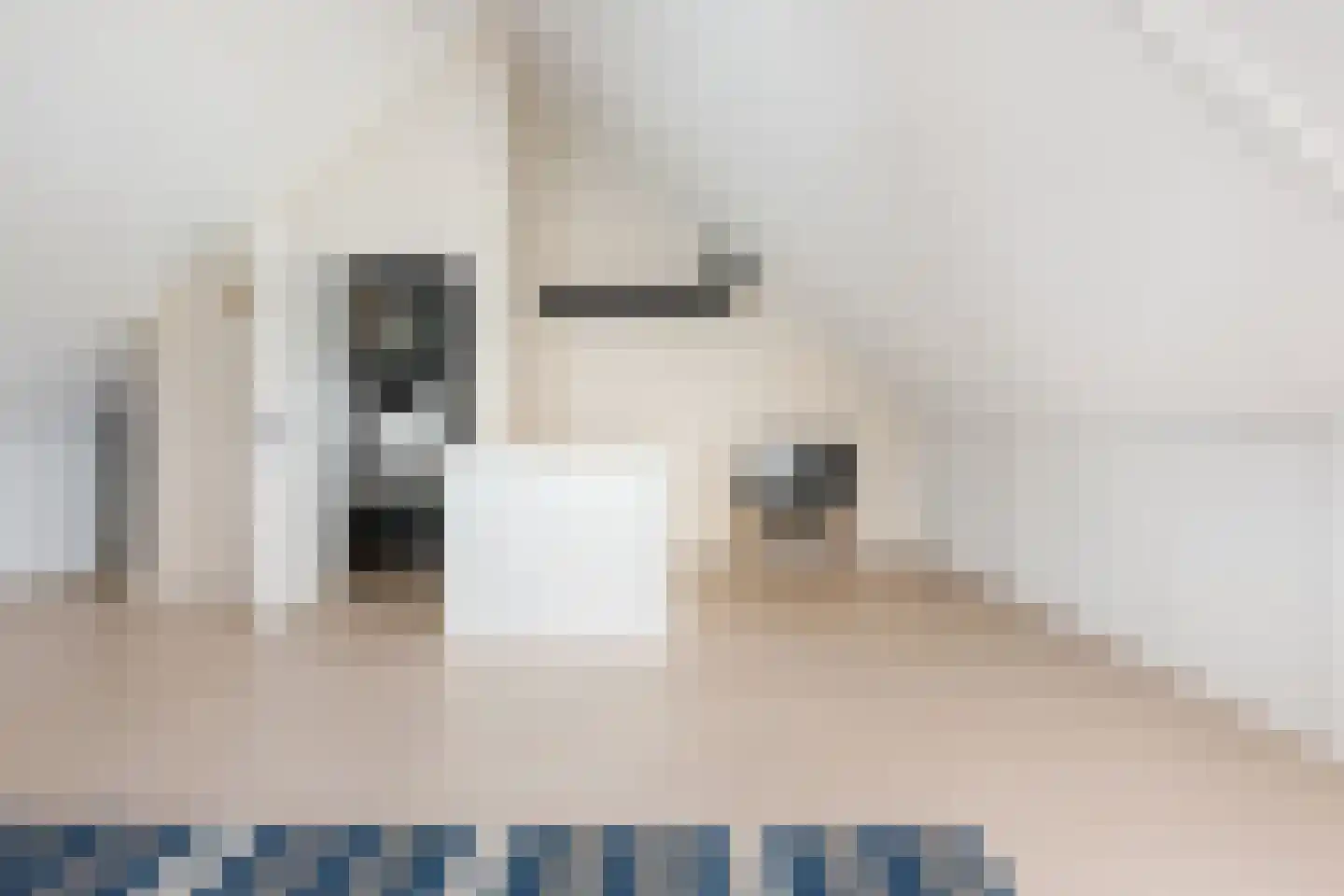 Elisabeth van Matenessedreef 33 Monster thumbnail 30