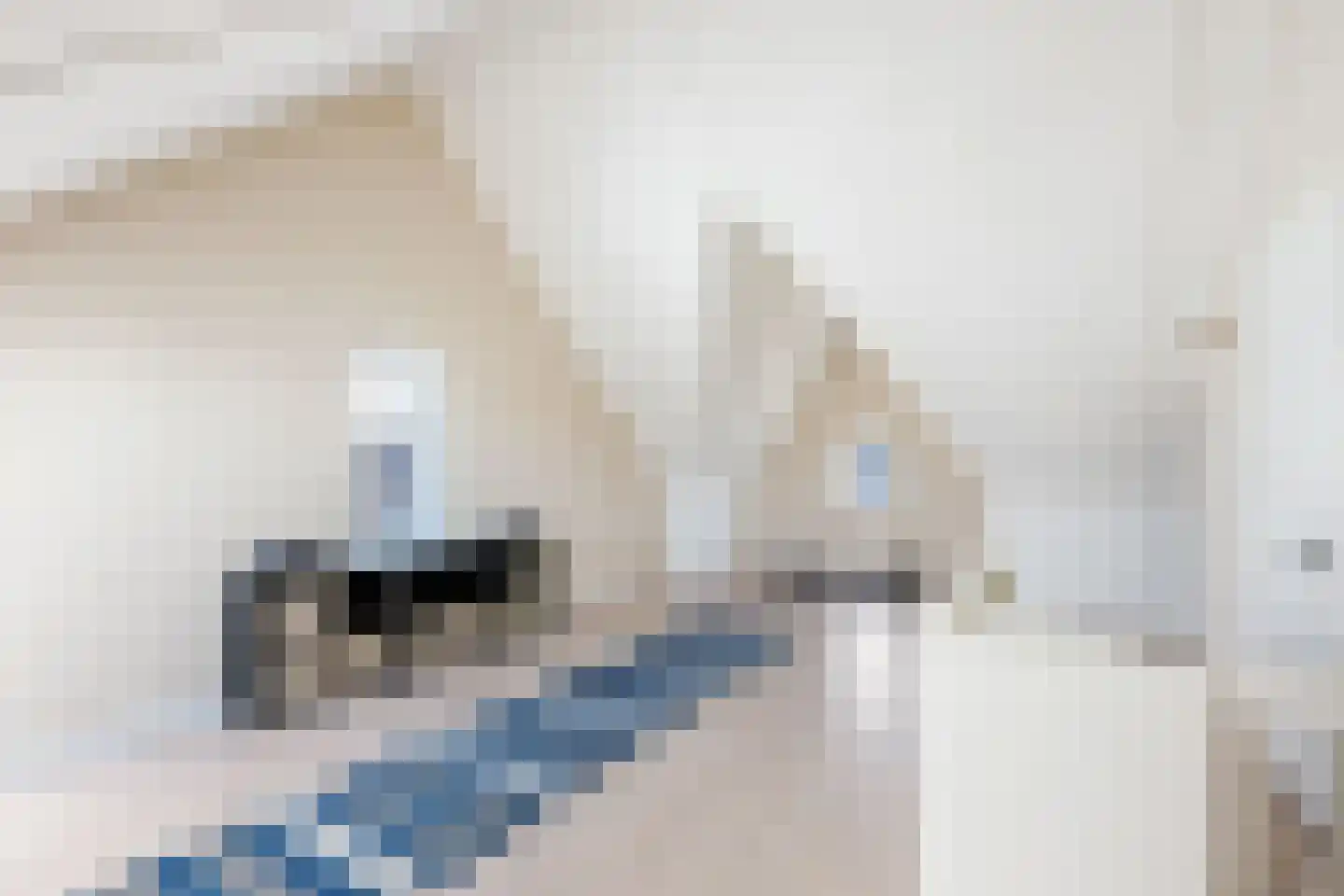 Elisabeth van Matenessedreef 33 Monster thumbnail 33