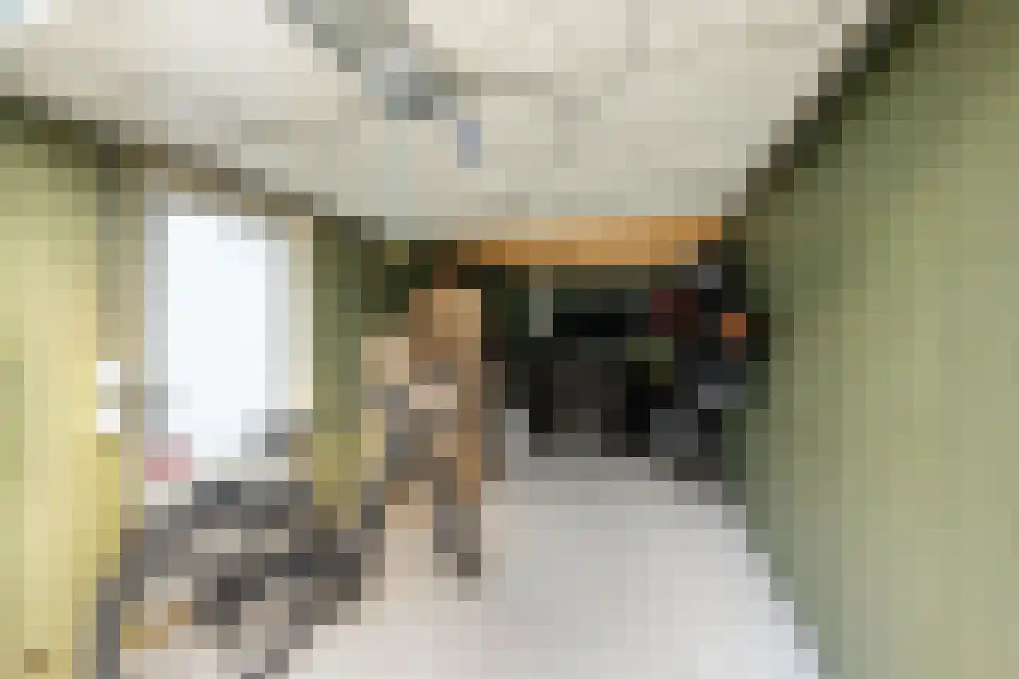 Elisabeth van Matenessedreef 33 Monster thumbnail 44