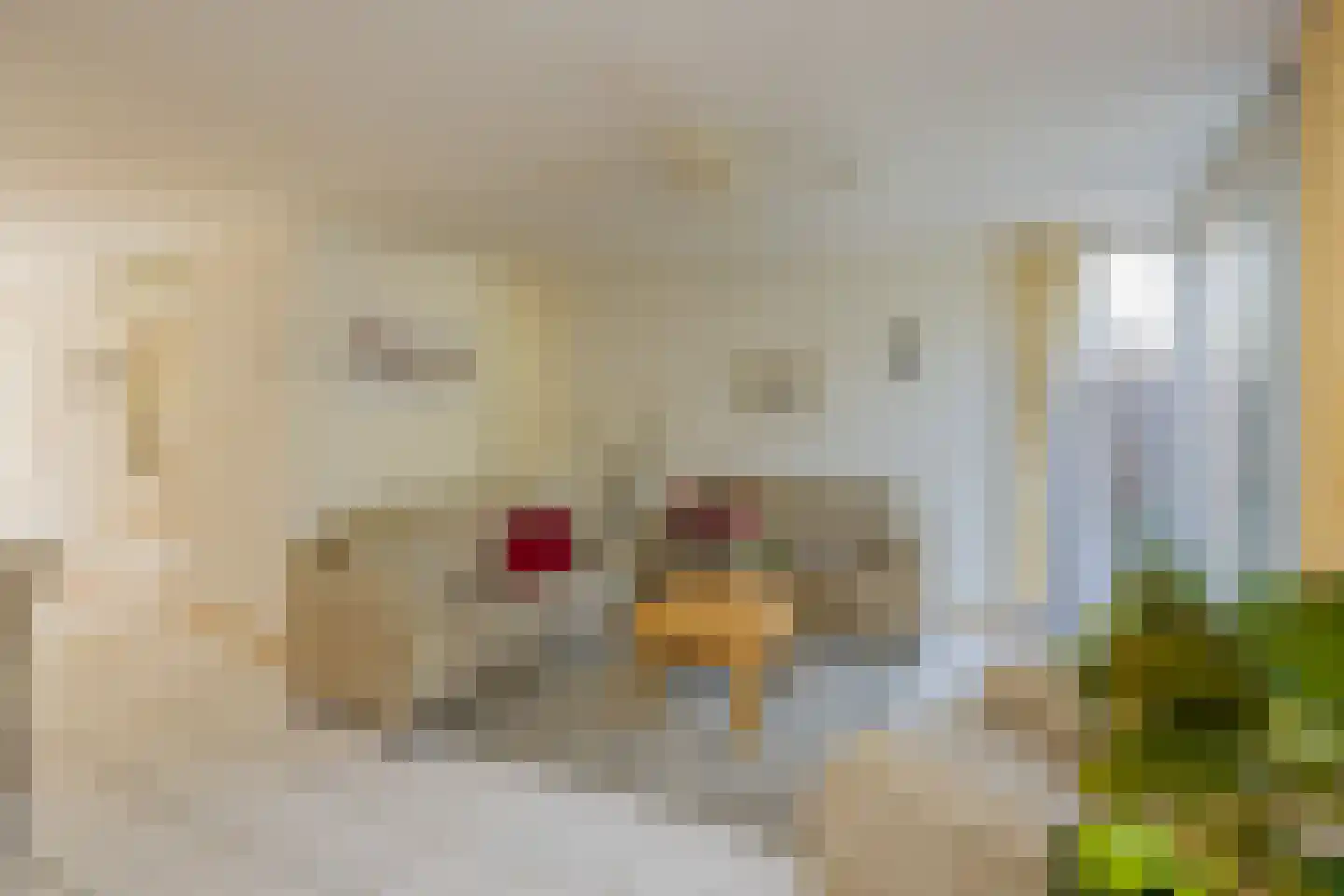 Elisabeth Vijlbriefstraat 12 Velserbroek thumbnail 13