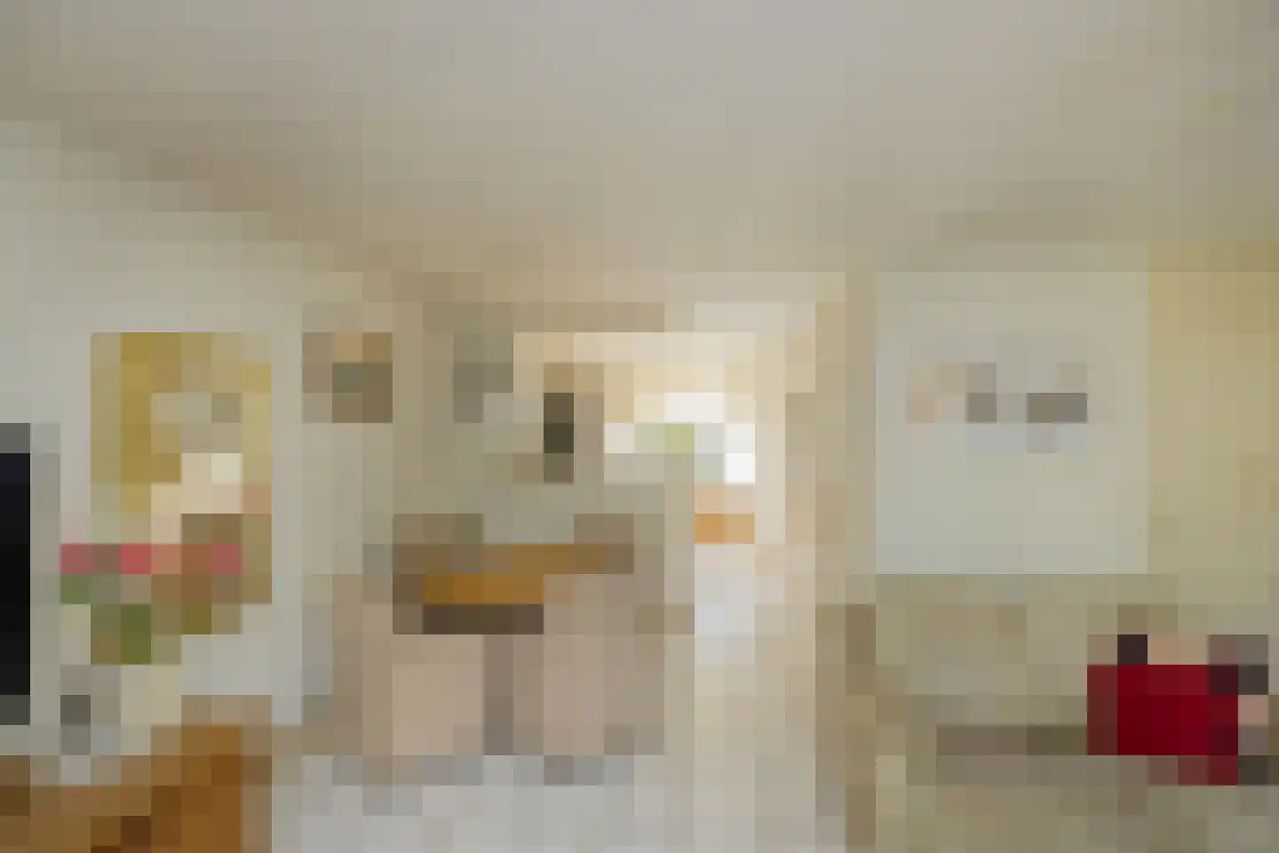 Elisabeth Vijlbriefstraat 12 Velserbroek thumbnail 18