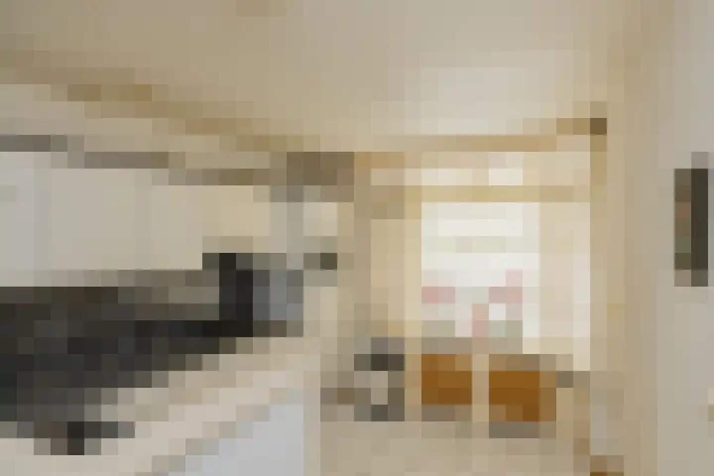 Elisabeth Vijlbriefstraat 12 Velserbroek thumbnail 20