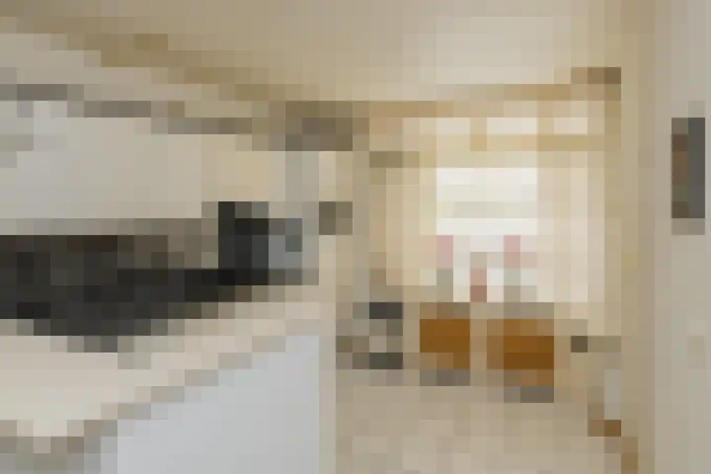 Elisabeth Vijlbriefstraat 12 Velserbroek thumbnail 21