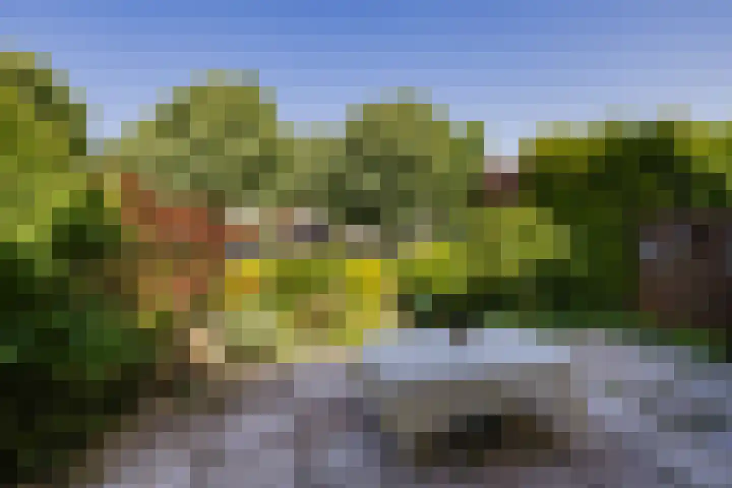 Elisabeth Vijlbriefstraat 12 Velserbroek thumbnail 23