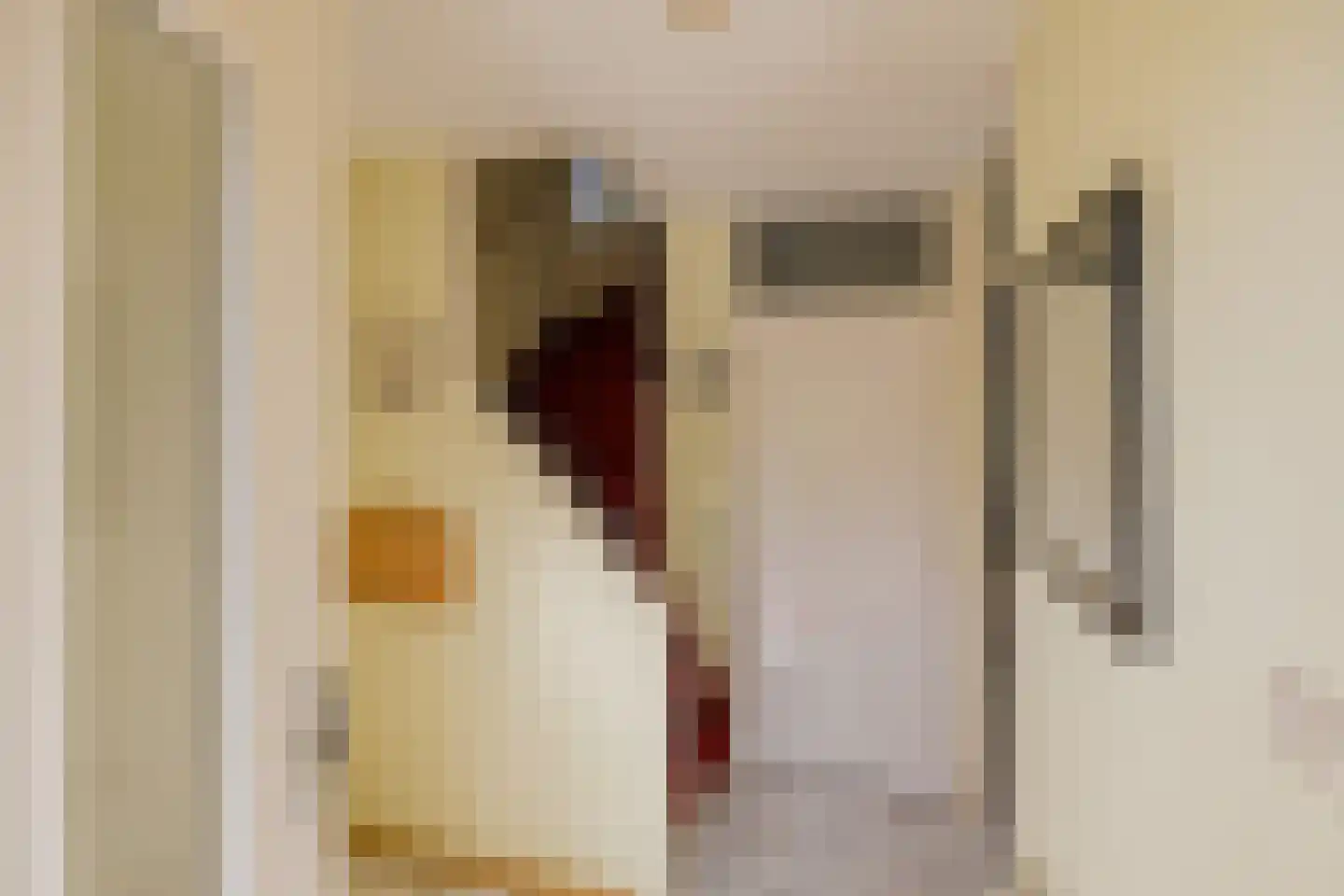 Elisabeth Vijlbriefstraat 12 Velserbroek thumbnail 5