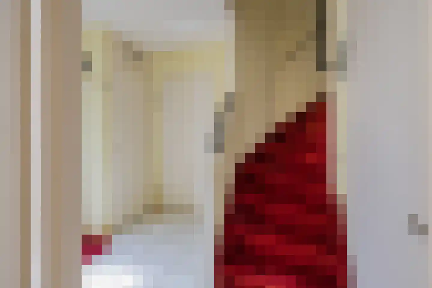 Elisabeth Vijlbriefstraat 12 Velserbroek thumbnail 6