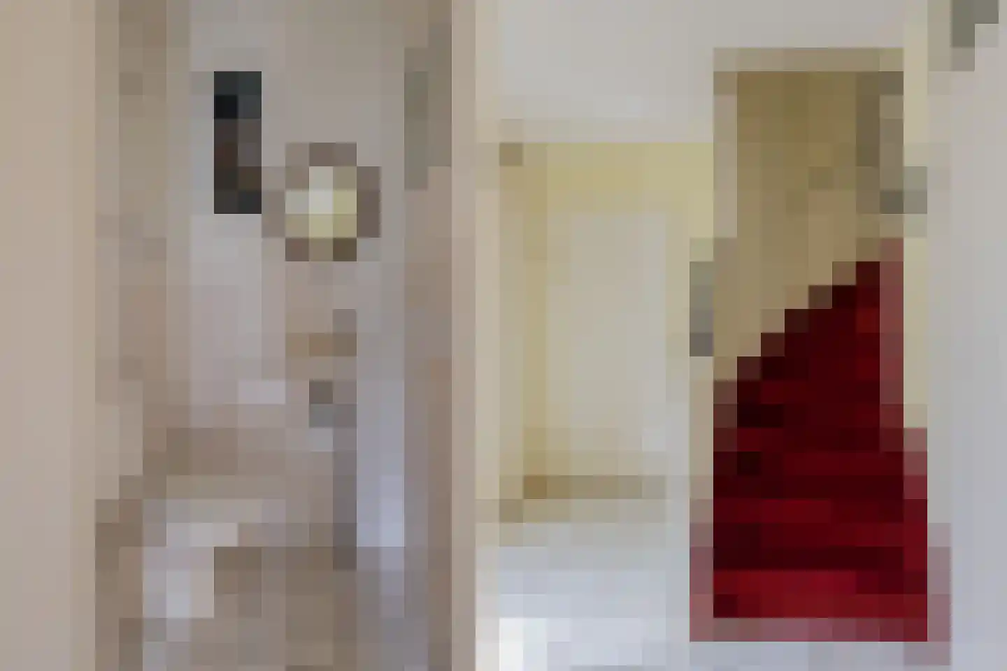 Elisabeth Vijlbriefstraat 12 Velserbroek thumbnail 7
