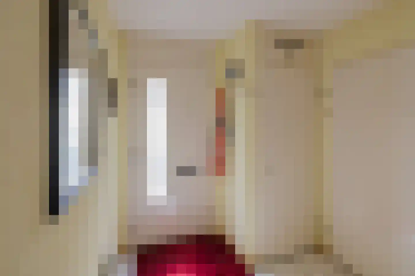 Elisabeth Vijlbriefstraat 12 Velserbroek thumbnail 8