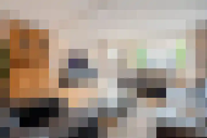 Elisabeth Vijlbriefstraat 3 Velserbroek thumbnail 12