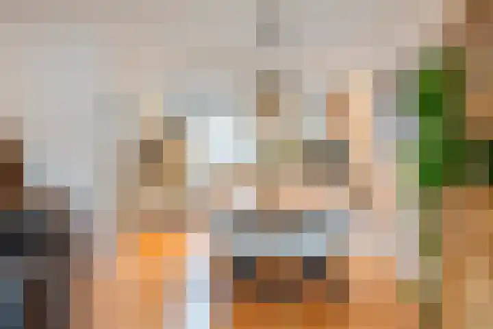 Elisabeth Vijlbriefstraat 3 Velserbroek thumbnail 15