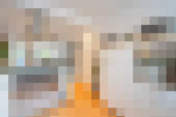 Elisabeth Vijlbriefstraat 3 Velserbroek thumbnail 22