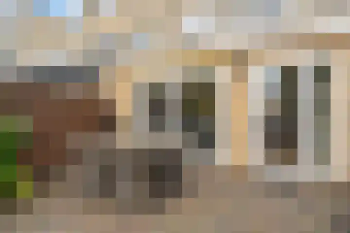 Elisabeth Vijlbriefstraat 3 Velserbroek thumbnail 28