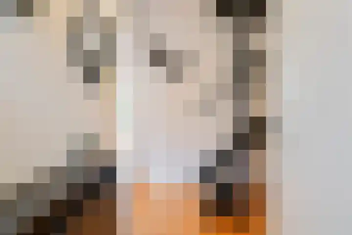 Elisabeth Vijlbriefstraat 3 Velserbroek thumbnail 30
