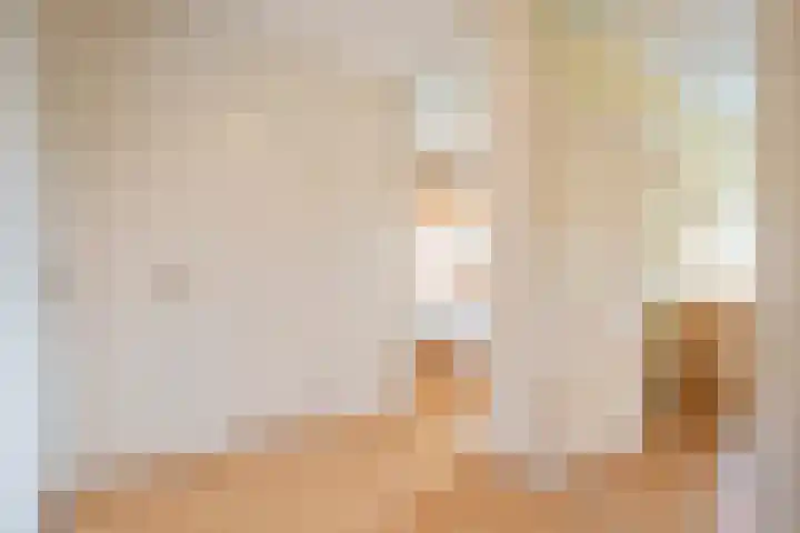 Elisabeth Vijlbriefstraat 3 Velserbroek thumbnail 31
