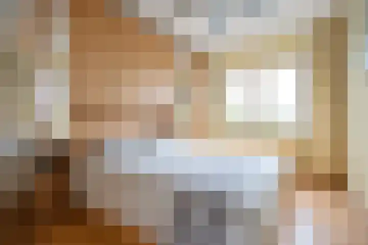 Elisabeth Vijlbriefstraat 3 Velserbroek thumbnail 32