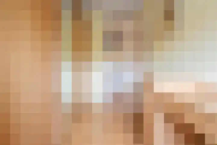 Elisabeth Vijlbriefstraat 3 Velserbroek thumbnail 36