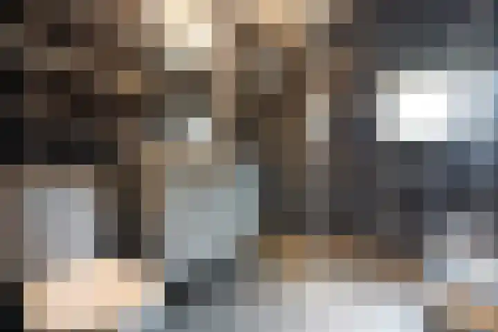 Elisabeth Vijlbriefstraat 3 Velserbroek thumbnail 39