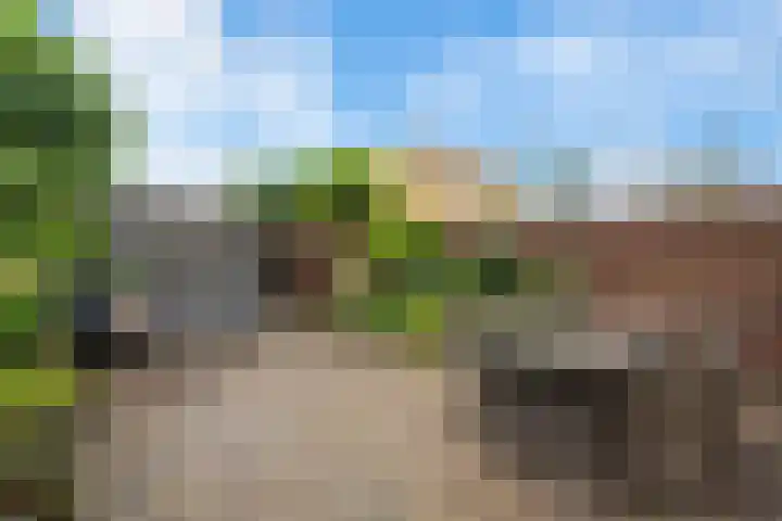Elisabeth Vijlbriefstraat 3 Velserbroek thumbnail 4