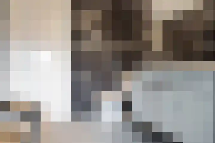 Elisabeth Vijlbriefstraat 3 Velserbroek thumbnail 40