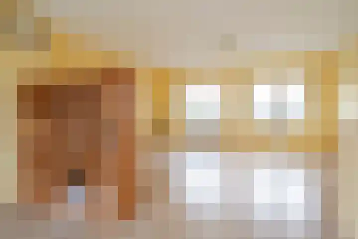 Elisabeth Vijlbriefstraat 3 Velserbroek thumbnail 41