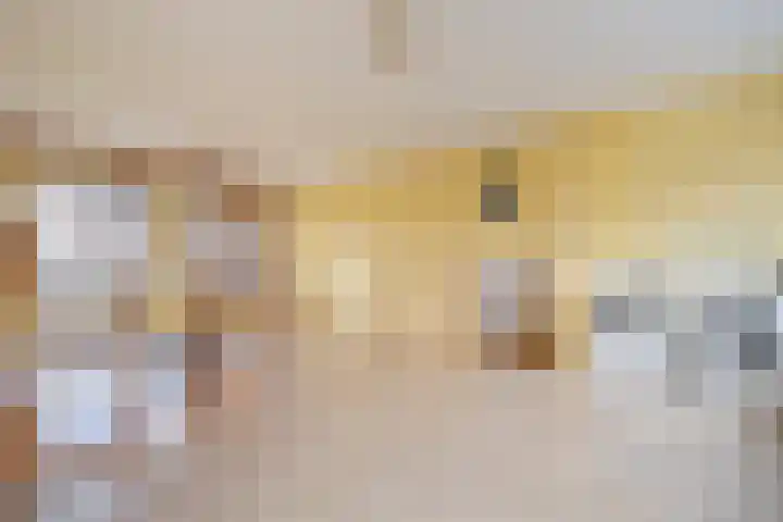Elisabeth Vijlbriefstraat 3 Velserbroek thumbnail 43