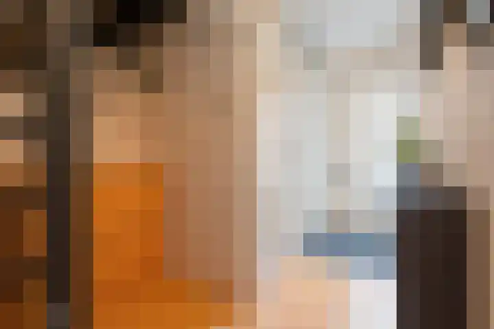 Elisabeth Vijlbriefstraat 3 Velserbroek thumbnail 8