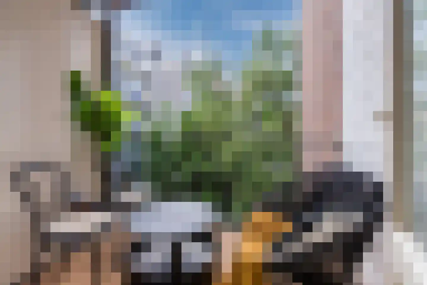 Elisabeth Wolffstraat 12 2 Amsterdam thumbnail 18