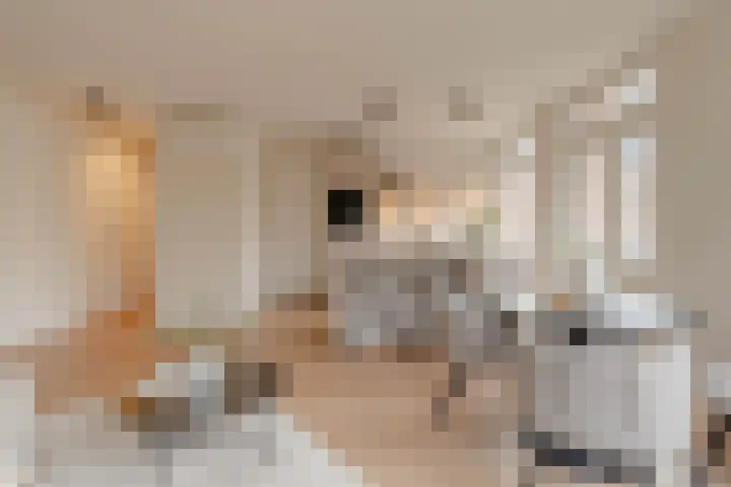 Elisabeth Wolffstraat 3 1 Amsterdam thumbnail 11