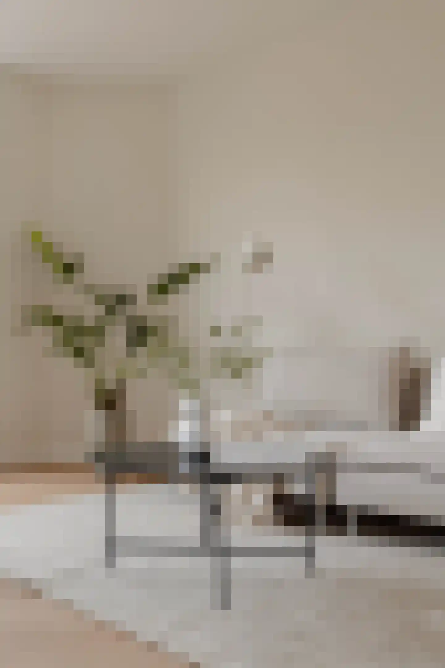 Elisabeth Wolffstraat 3 1 Amsterdam thumbnail 5