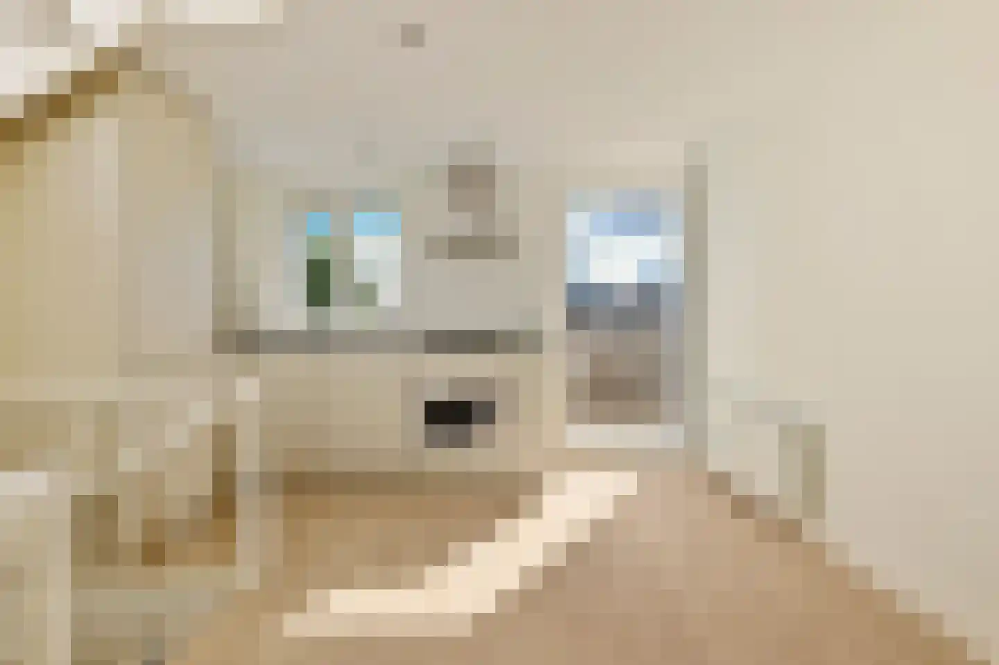 Elisabeth Wolffstraat 7 4 Amsterdam thumbnail 4