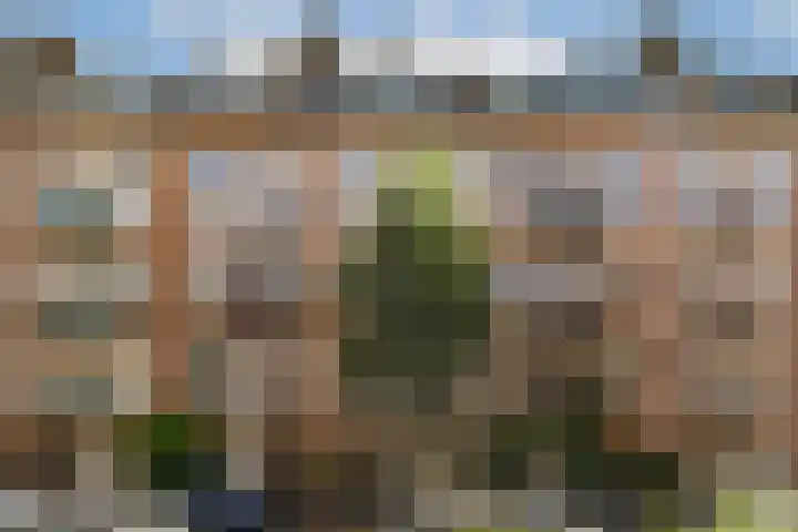 Elisabeth Wolffstraat 73 H Amsterdam thumbnail 21