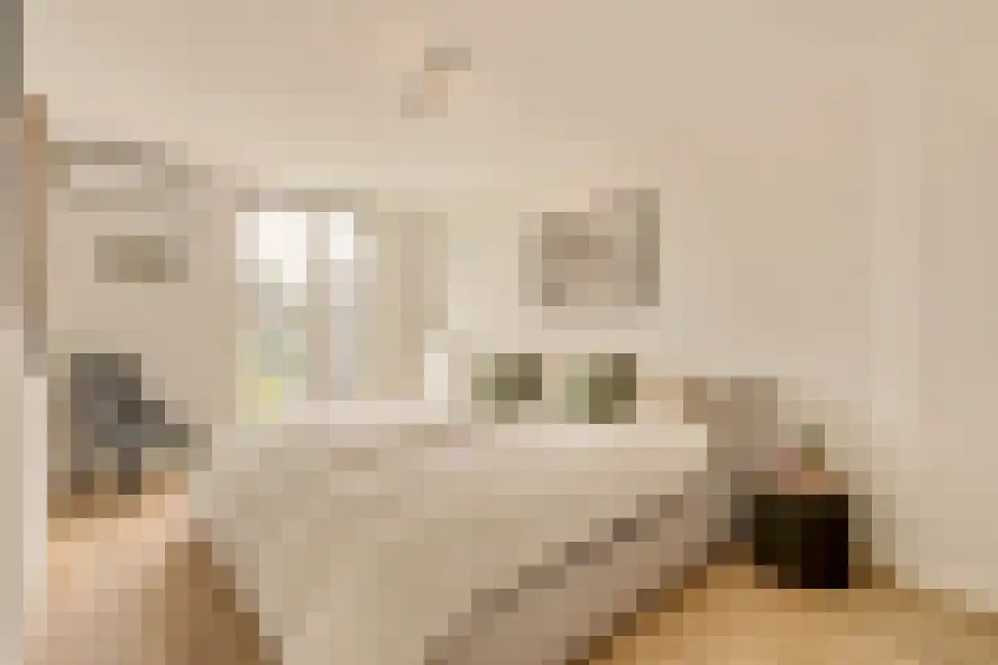 Elisabeth Wolffstraat 77 3 Amsterdam thumbnail 22