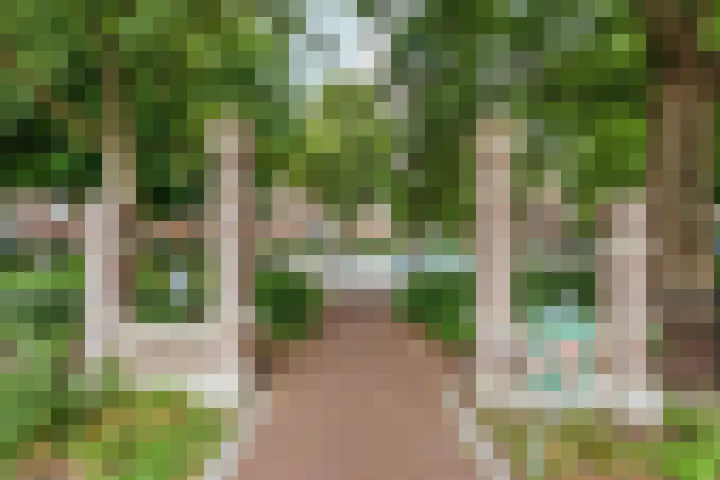 Elisabeth Wolffstraat 77 3 Amsterdam thumbnail 51