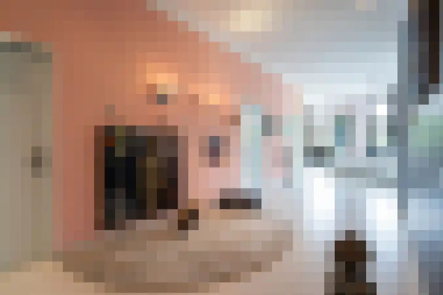 Elisabethdreef 3 12 Culemborg thumbnail 13