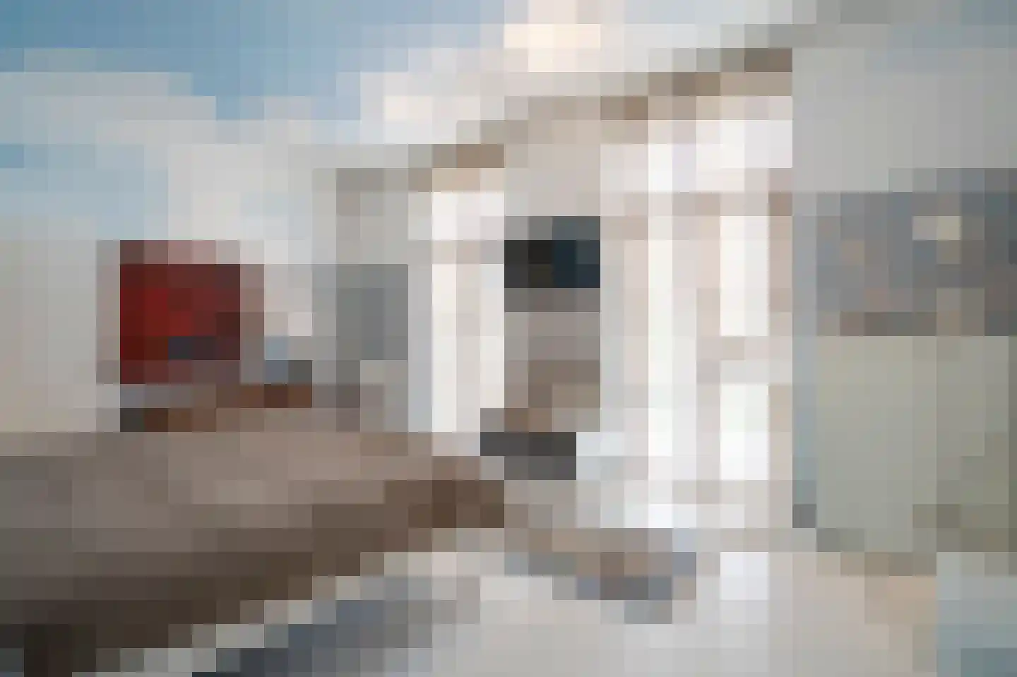 Elisabethdreef 3 12 Culemborg thumbnail 17