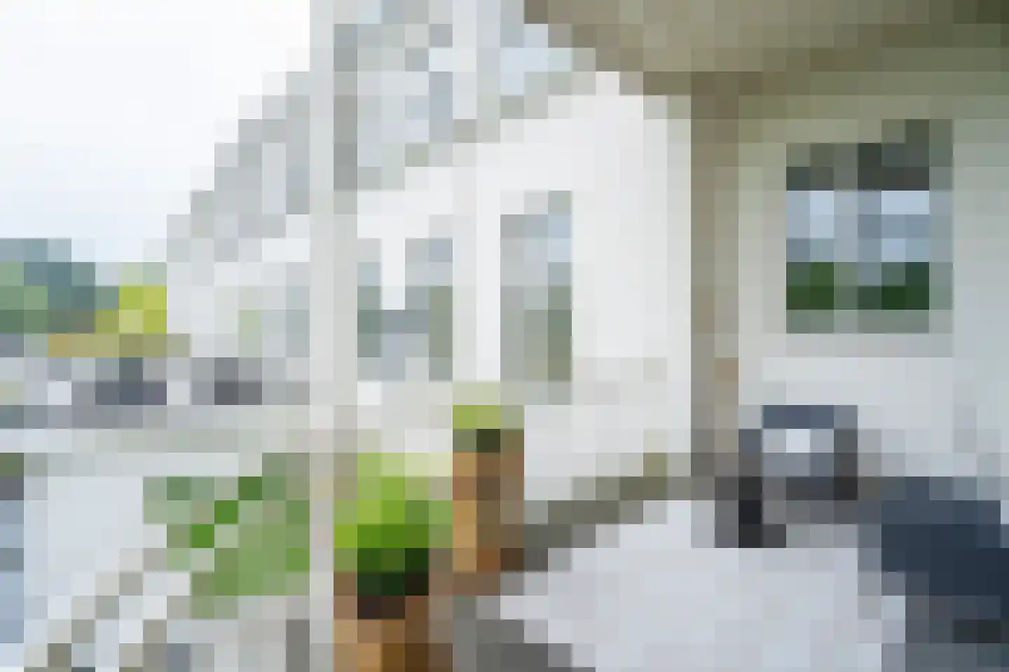 Elisabethdreef 3 12 Culemborg thumbnail 25