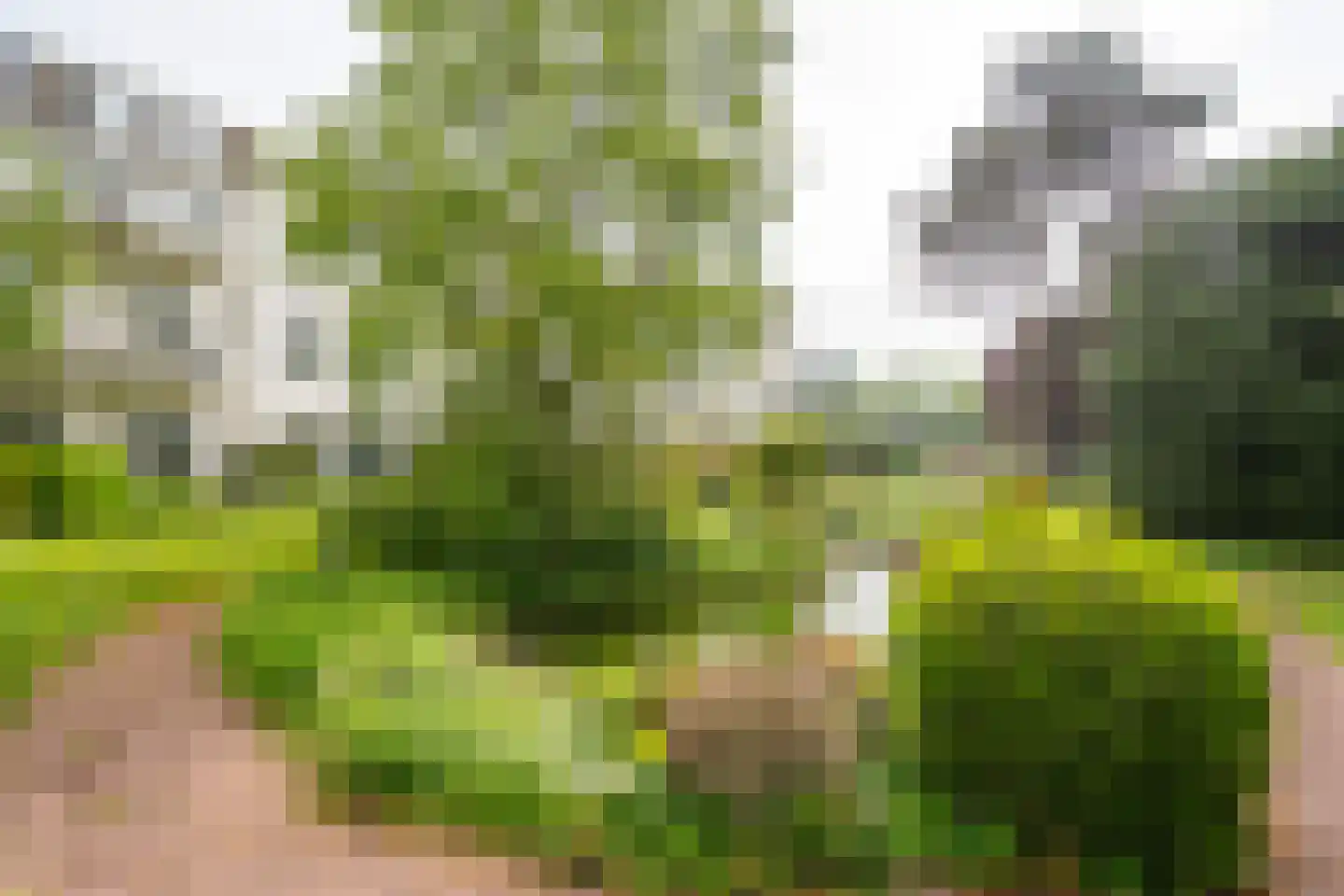 Elisabethdreef 3 12 Culemborg thumbnail 33