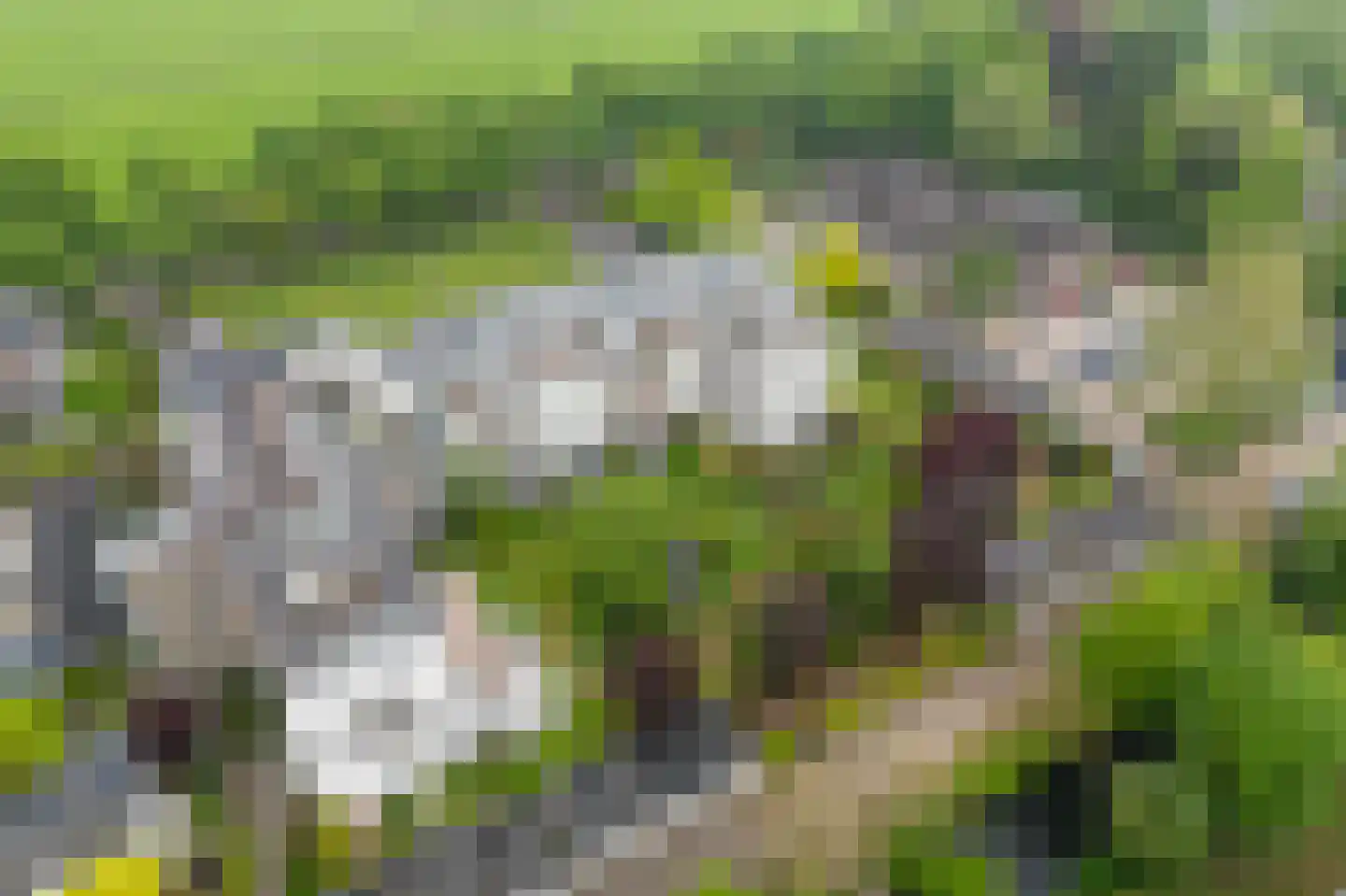 Elisabethdreef 3 12 Culemborg thumbnail 34