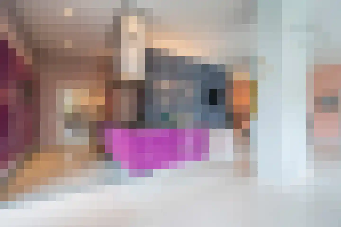 Elisabethdreef 3 12 Culemborg thumbnail 9